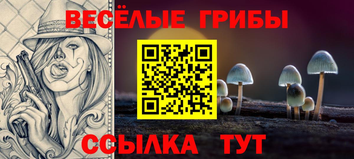 магазин продажи   Псилоцибиновые грибы мухоморы  Вход с VPN  Псилоцибиновые грибы Magic Shrooms  Гурьевск 
